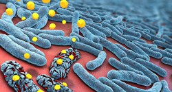 FAO: Sljedeću pandemiju mogla bi izazvati otpornost mikroorganizama na lijekove