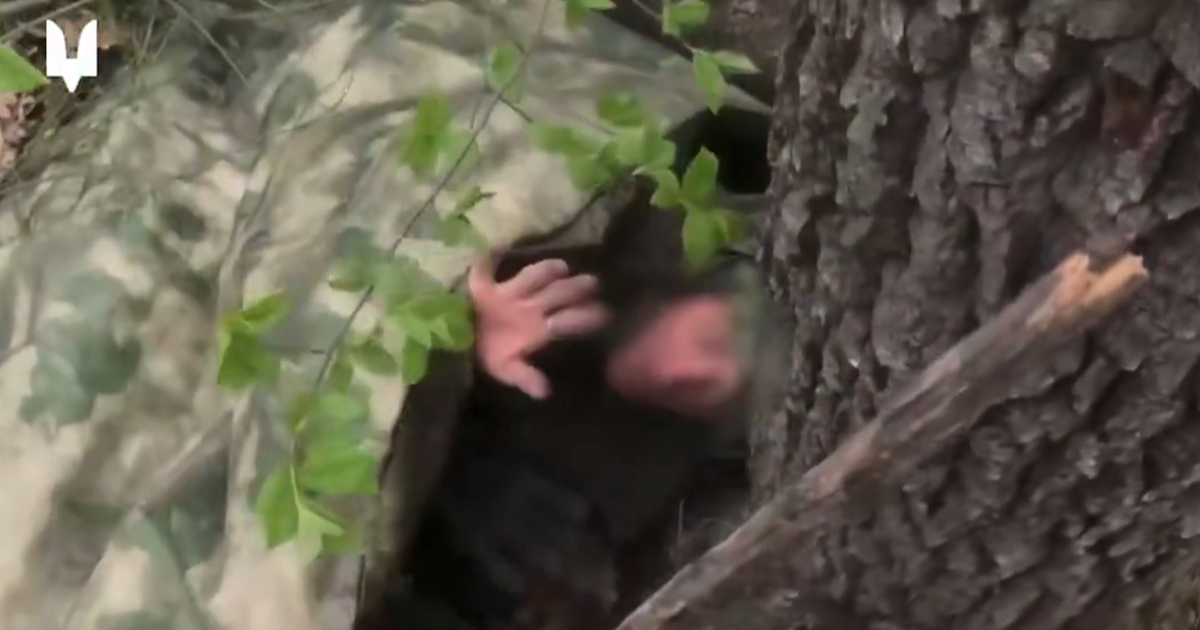 VIDEO Ukrajinci otkrili ruska skrovišta u šumama pa zarobili dvojicu vojnika