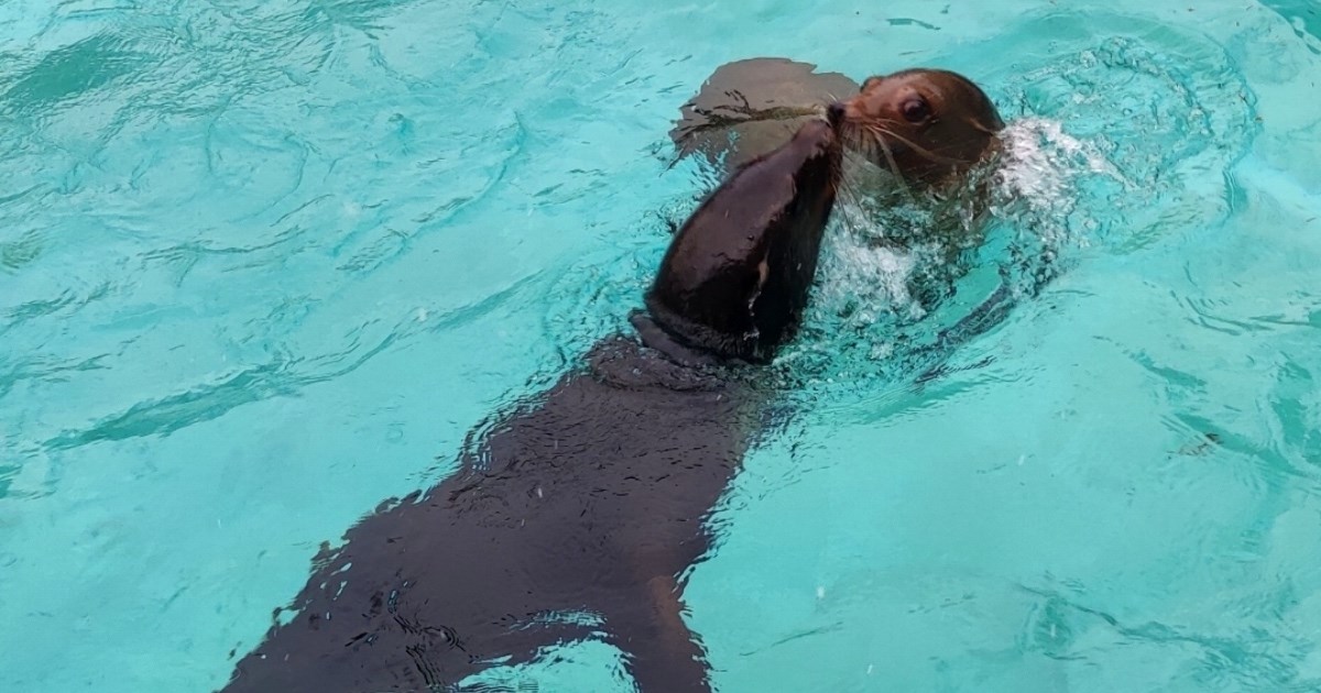 U zagrebačkom ZOO vrtu rodilo se novo prijateljstvo: Upoznajte Edija i Pamelu