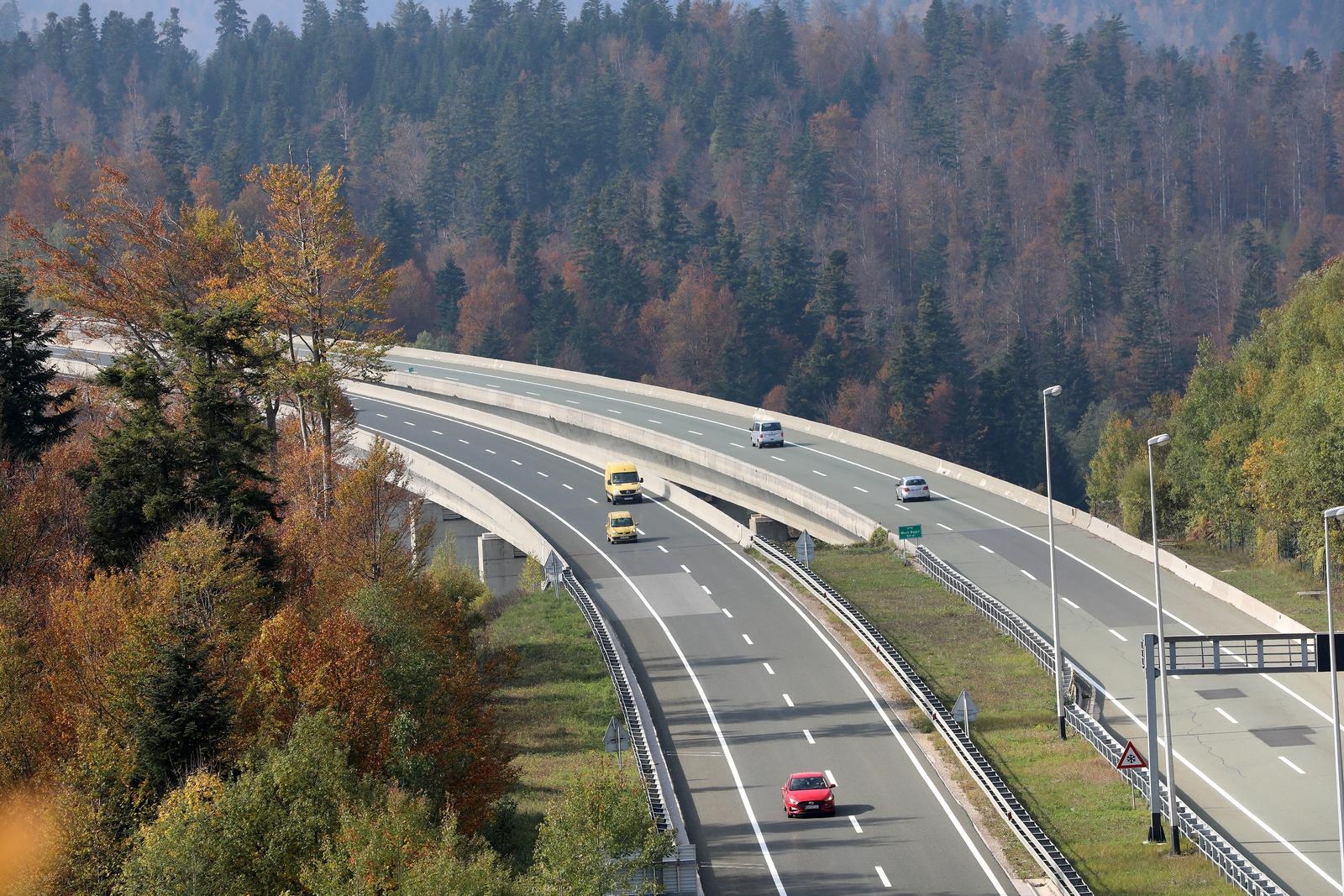Srna na autocesti A6