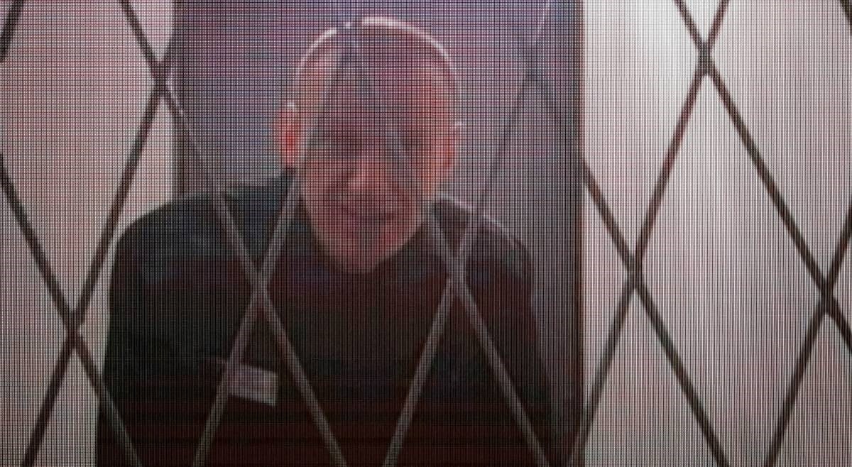 Tko je bio Navalni? Trovali ga, osudili, prebacili u zatvor na daleki ruski sjever