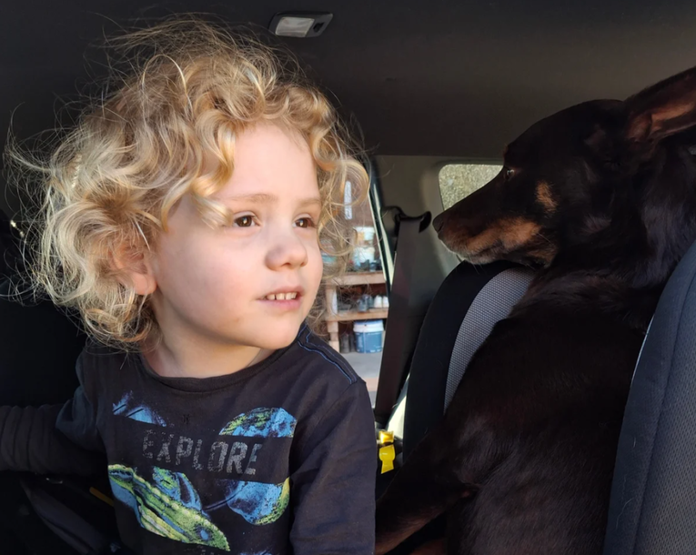 Gus (4) nestao usred australske pustoši. Godinu kasnije slučaj je još mračniji