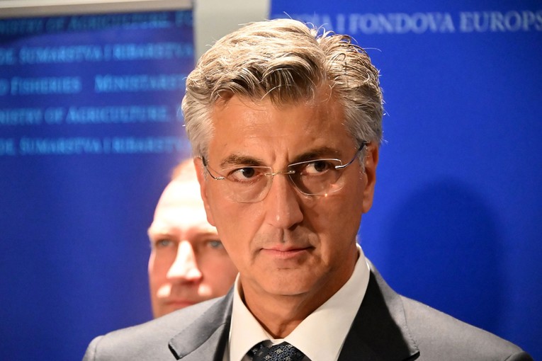 Plenković: Neki samo papirnato rade kao paušalci, zahvati su minimalni