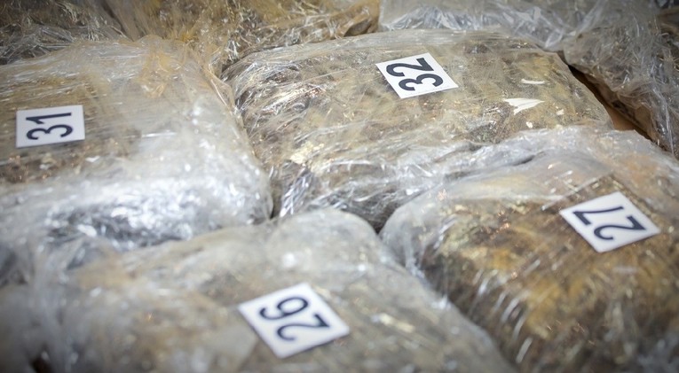 U Susedgradu imao improvizirani laboratorij za marihuanu i skoro 10 kila trave