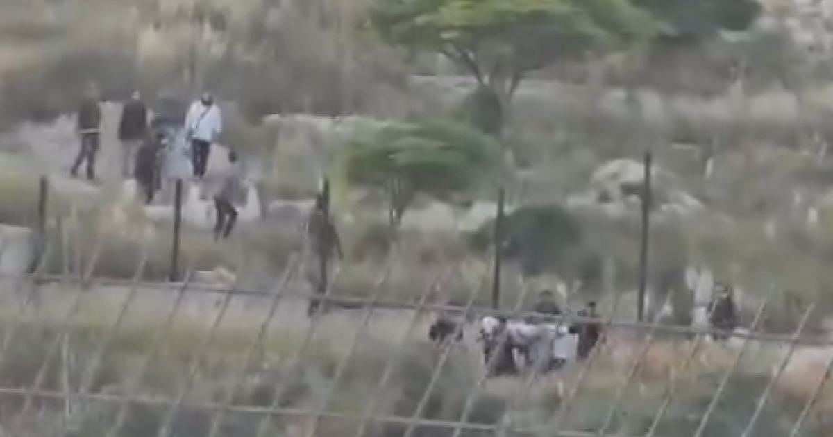 VIDEO Izraelski doseljenici iskopali tijelo Palestinca iz groba