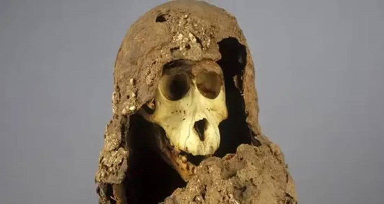 Riješen misterij mumificiranih pavijana iz drevnog Egipta. Evo zašto su im bili važni