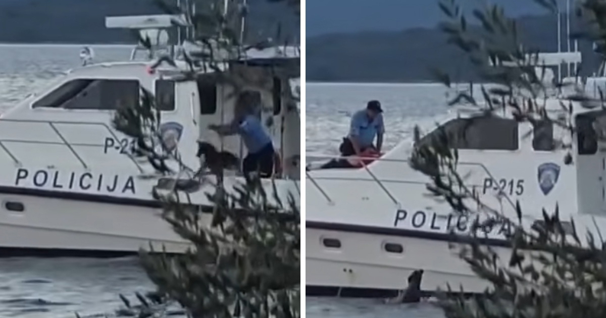 Policajac na Pašmanu bacio psa u more, širi se snimka. Oglasila se policija