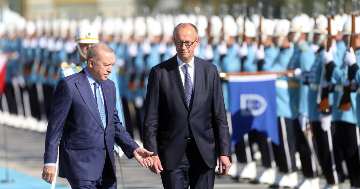 Erdogan Merzu: "Ne vidite li genocid u Gazi?"