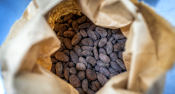 Afrika zaustavlja preradu kakaovca