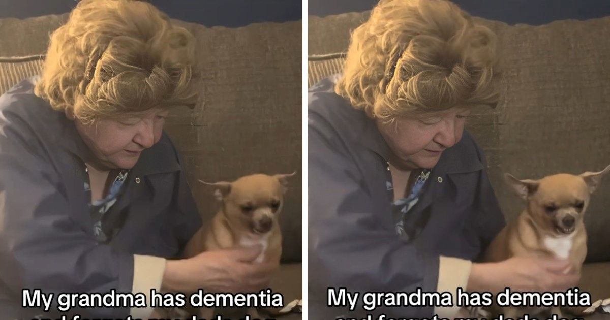 Dirljiv prozor: Mrzovoljna čivava strpljivo podnosi maženje bake s demencijom