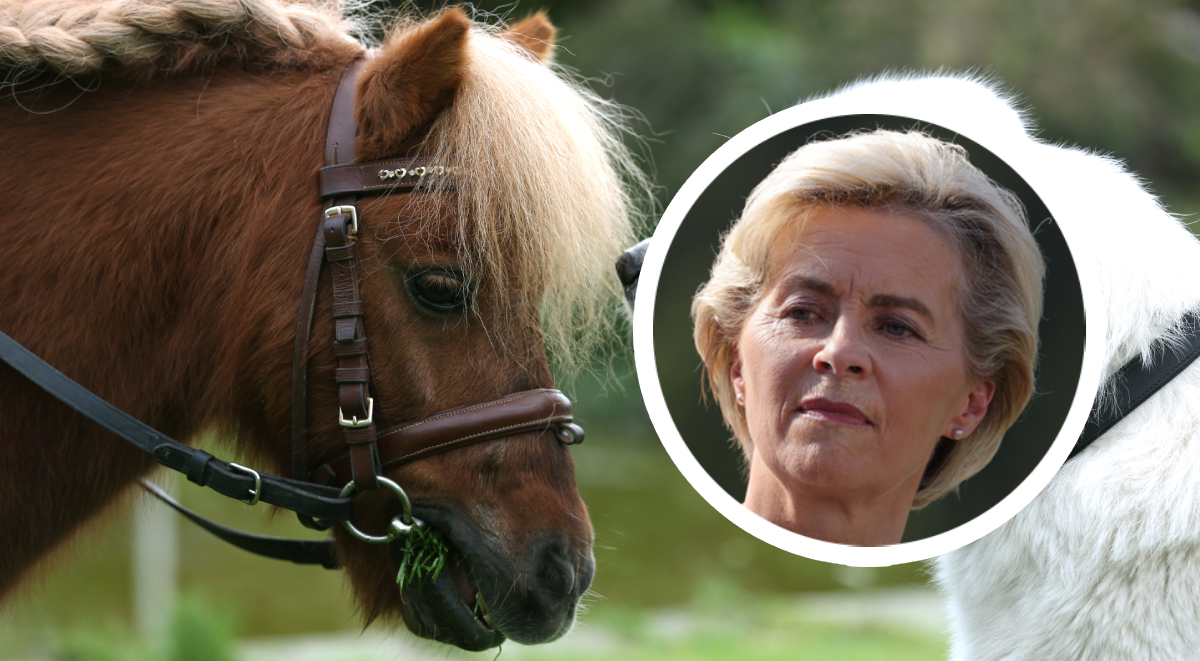 Ponija Ursule von der Leyen ubio vuk, ona se oglasila: "Naša obitelj je uznemirena"