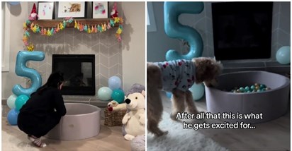 VIDEO Pripremila psu rođendansko iznenađenje, njegova reakcija nasmijala sve