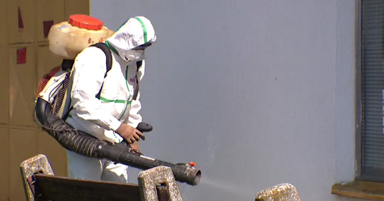 Najezda žohara u Osijeku