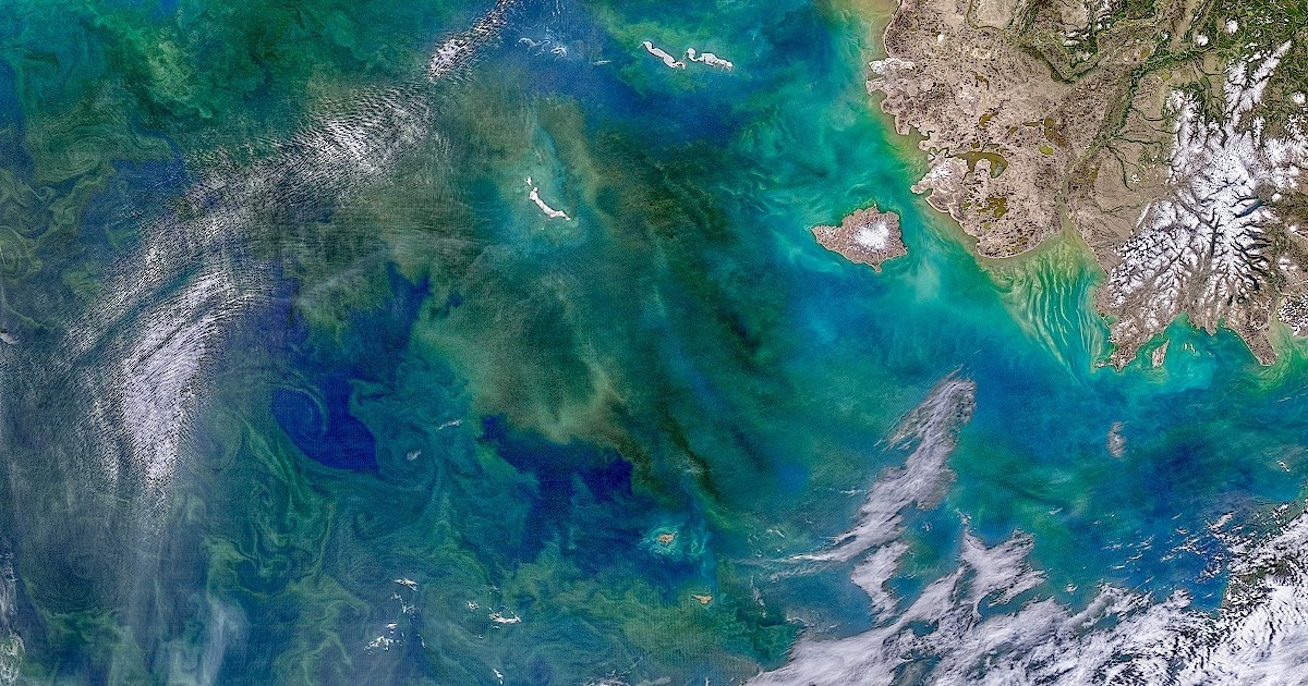 Studija: Oceani su počeli mijenjati boju