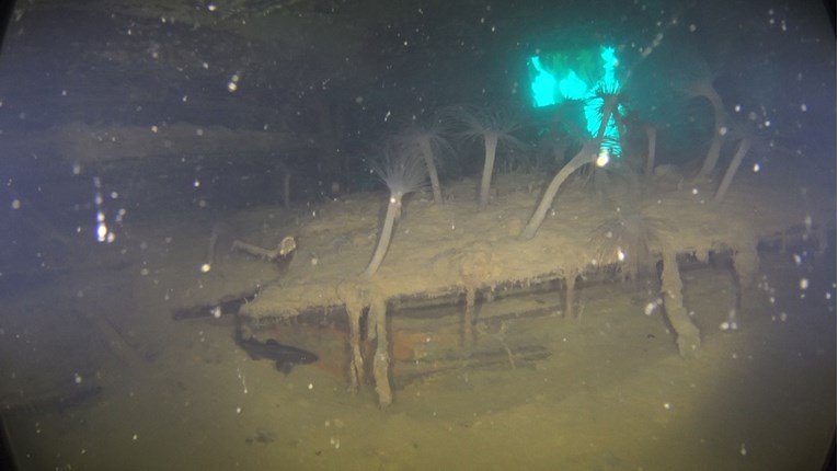 Ovaj brod misteriozno je potonuo prije 200 godina. Pronađen je savršeno očuvan