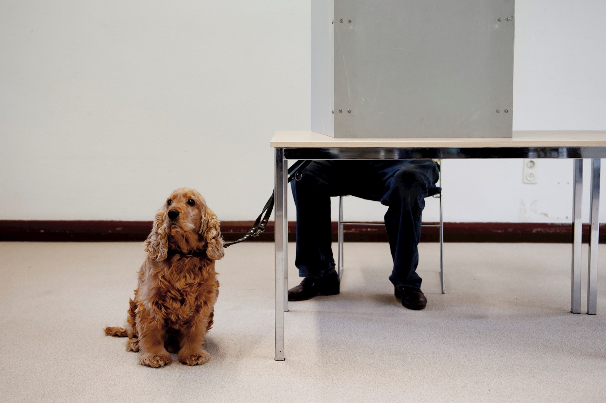 Izbori u najmnogoljudnijoj njemačkoj saveznoj pokrajini, očekuje se tijesna borba