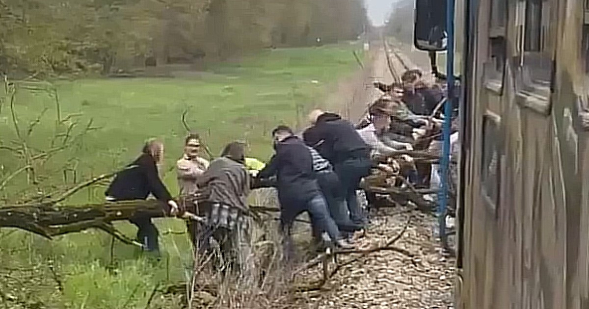 Stabla pala na prugu kod Bjelovara. Putnici izašli iz vlaka i sami ih uklonili