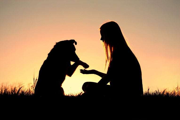 Četiri načina na koji vam vaš pas jasno pokazuje da vas jako voli
