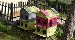 FOTO Ulične mačke na Tkalči imaju svoje sklonište, volonteri ih hrane svakoga dana