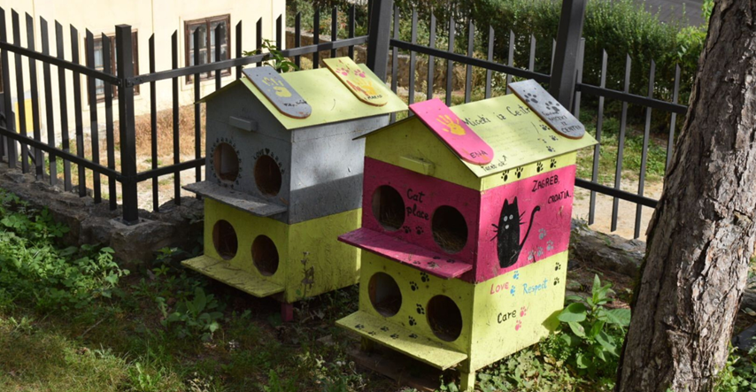 FOTO Ulične mačke na Tkalči imaju svoje sklonište, volonteri ih hrane svakoga dana