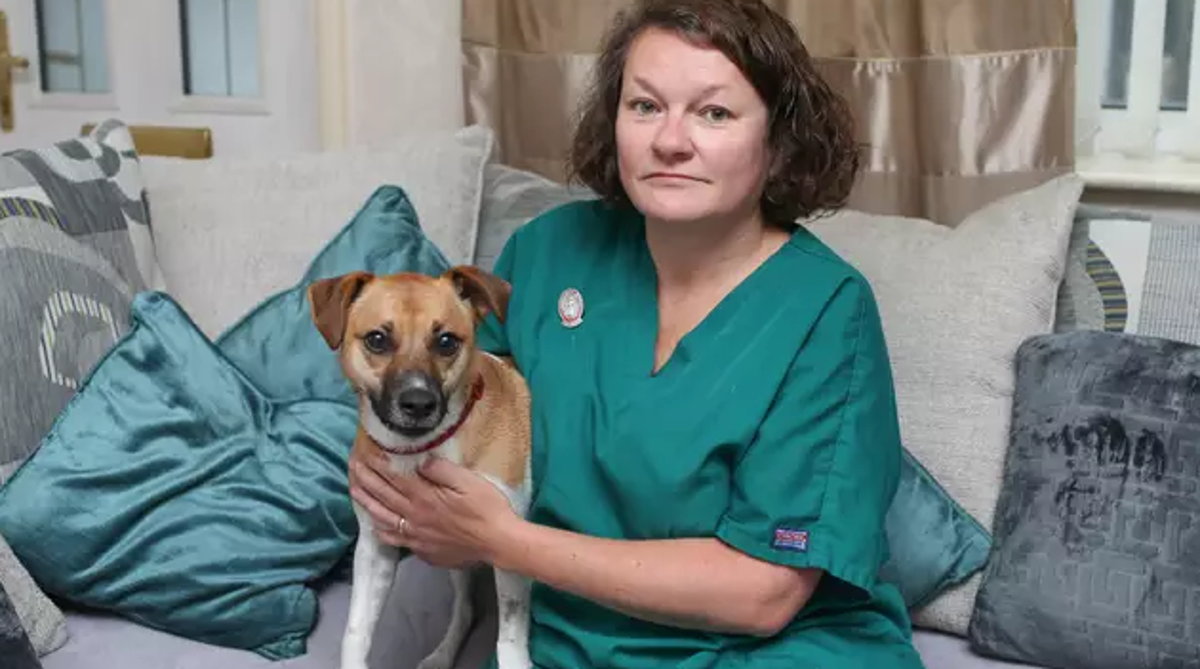 Psić počeo povraćati nakon šetnje, uzrok povraćanja šokirao vlasnicu