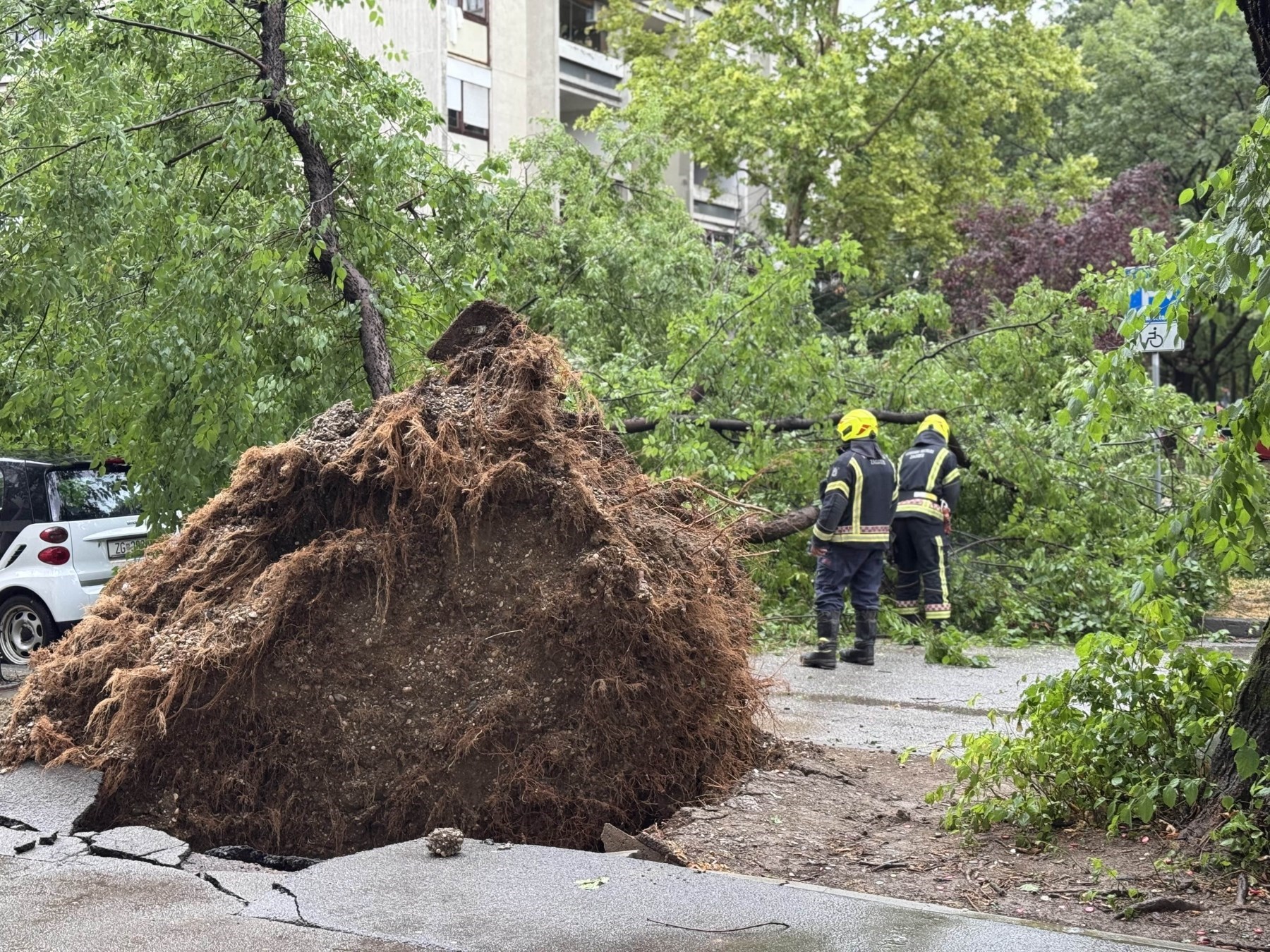 Srušeno drveće u Zagrebu, skela pala na aute u Osijeku. Prevrnuo se katamaran