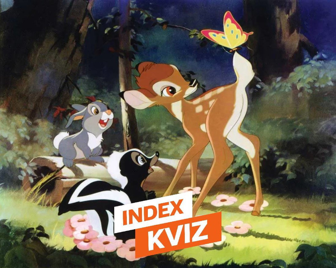 INDEX KVIZ Znate li odgovor na baš svih 15 pitanja?