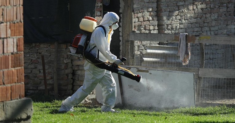 Potvrđeni novi slučajevi afričke svinjske kuge na farmi u Osječko-baranjskoj županiji