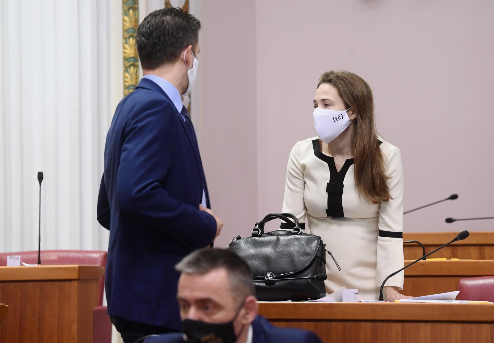 Selak Raspudić: Zakon o obnovi je protuustavan