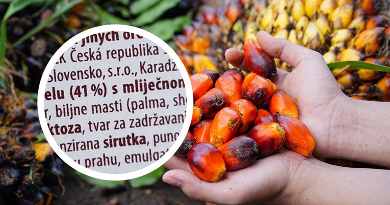 Zašto je palmino ulje u svemu i zašto je to loše