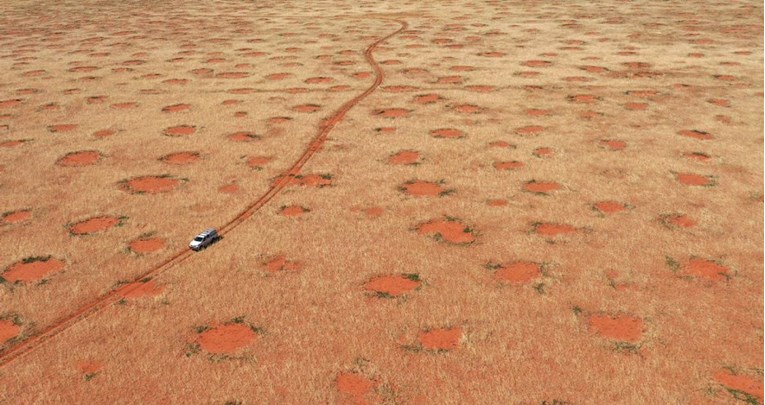 Riješena tajna misterioznih prstenova u pustinji Namib, tvrde znanstvenici
