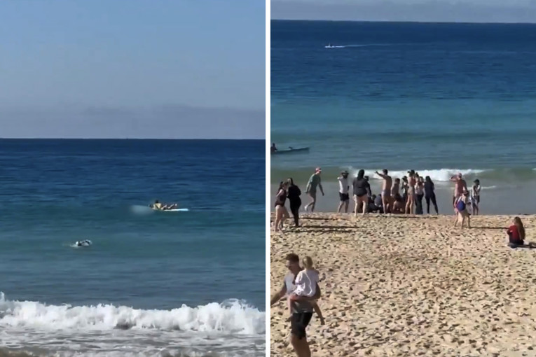 VIDEO Ženu u Sydneyju napao morski pas, bori se za život. Zatvorene plaže