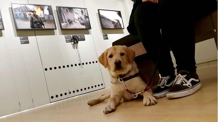 Muzej ratne fotografije otvorio vrata psima pomagačima