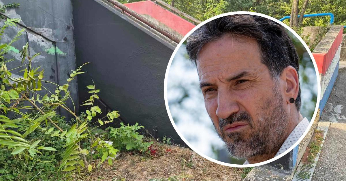 Miletić: Sram me da sam pozvao ljude da glasuju za Ivu Rinčić!