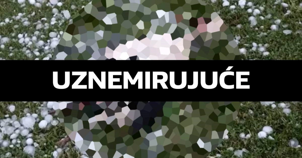 UZNEMIRUJUĆE Tuča ubila i rode. Nisu se sklonile, štitile su mlade u gnijezdu