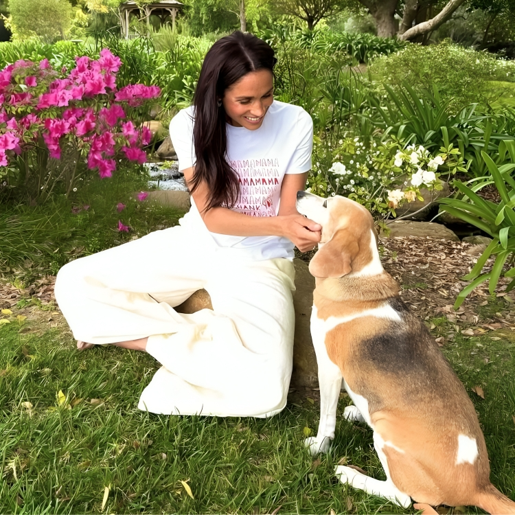 Meghan Markle pokazala dio dnevnog boravka, pratitelje zaintrigirao jedan detalj