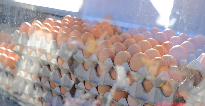 U Hrvatskoj lani pala proizvodnja svinja, kravljeg mlijeka i kokošjih jaja