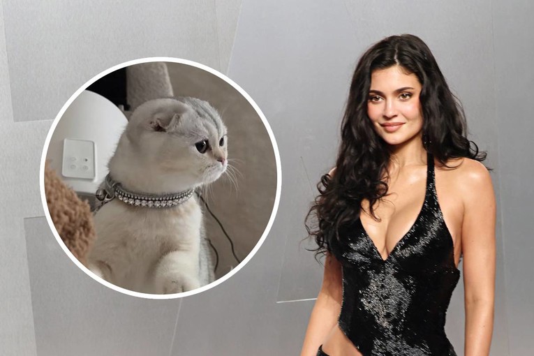 Kylie Jenner pokazala novog ljubimca, pratitelji se uhvatili za jedan detalj