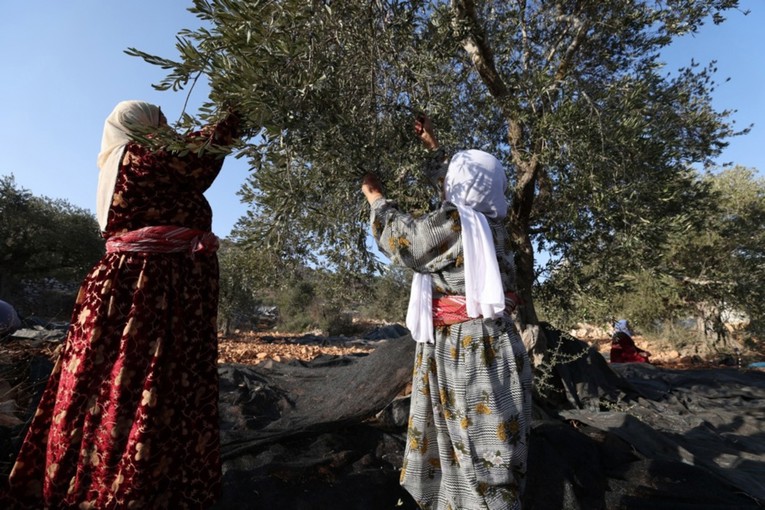 Izraelci po Europi prodaju palestinske proizvode kao svoje