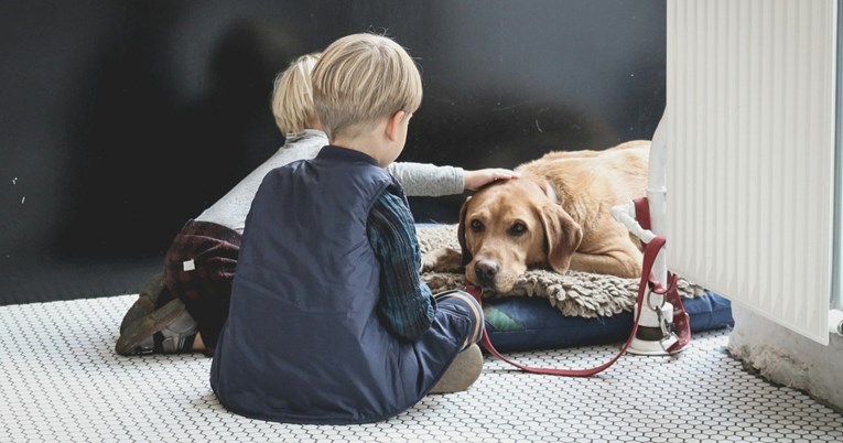 Pet najboljih ljubimaca za djecu mlađu od deset godina