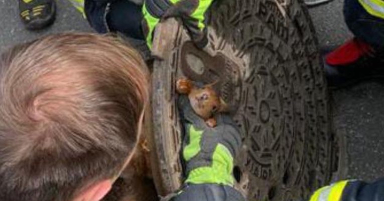 Vjeverica zaglavila u poklopcu šahta, spasili je vatrogasci