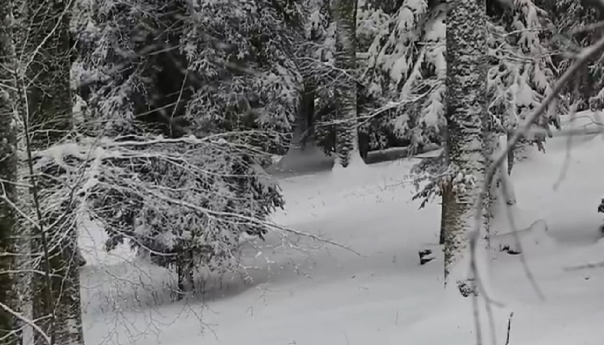 VIDEO Sljeme krcato snijegom