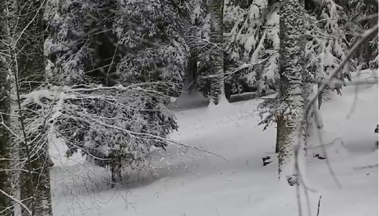 VIDEO Sljeme krcato snijegom