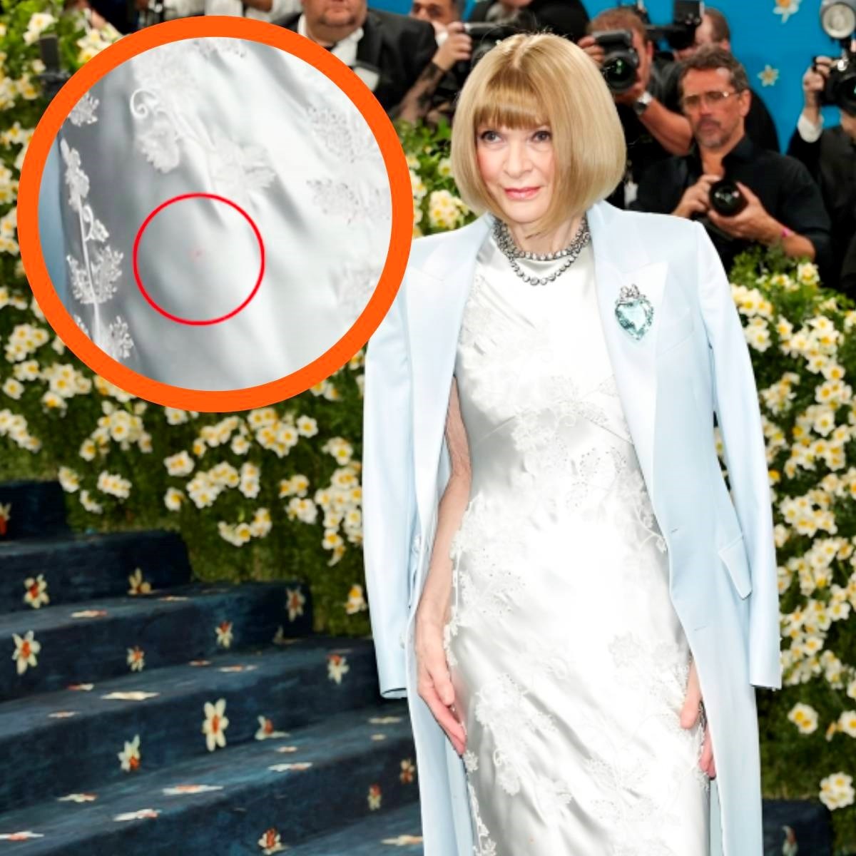 Anna Wintour snimljena na Met Gali s mrljom na haljini, komentari su sve