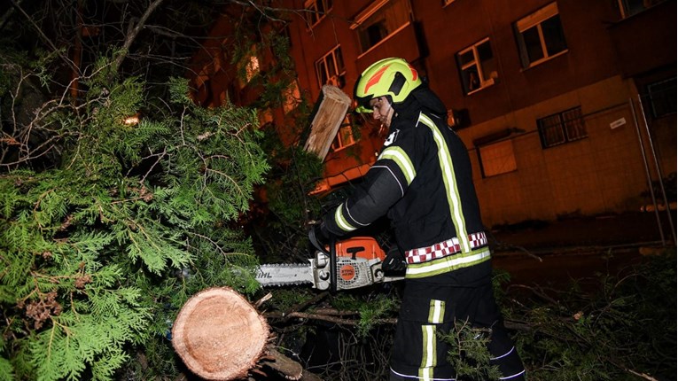 FOTO I VIDEO Pogledajte srušena stabla u Savskoj u Zagrebu