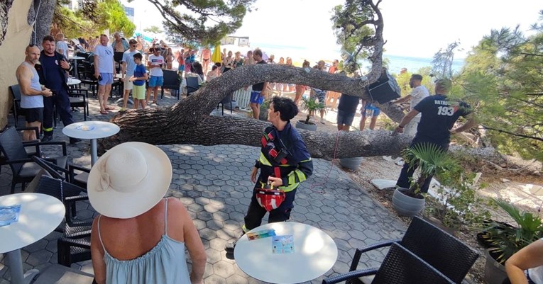 Srušilo se stablo na plaži u Baškoj Vodi, četvero lakše ozlijeđenih