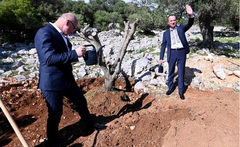 FOTO Grlić Radman posadio maslinu