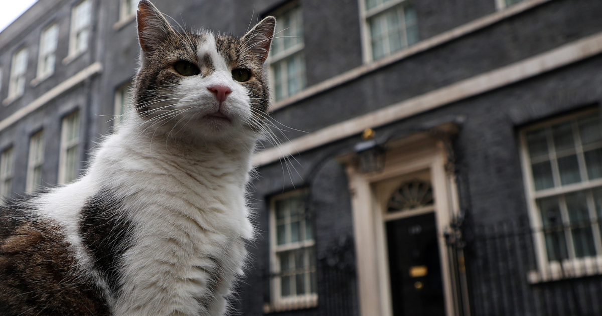 Mačak Larry iz Downing Streeta dočekao svog šestog premijera