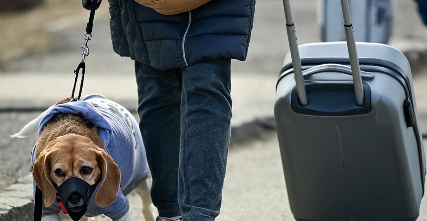 Ovaj pas je sa svojim vlasnikom iz Ukrajine uspio doći do Slovačke u potrazi za mirom