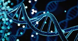 Znanstvenici objavili prvi čitavi ljudski genom